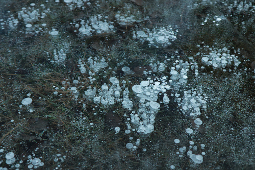 65